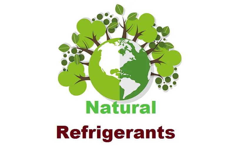 Refrigerante natural